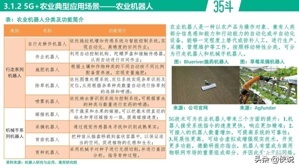 黄大仙救世报图片 正版精选，解释解析与实际应用