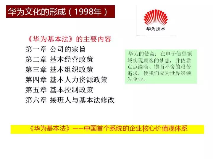 新澳256期资料解析与落实策略，迈向成功的关键步骤（精选解析）