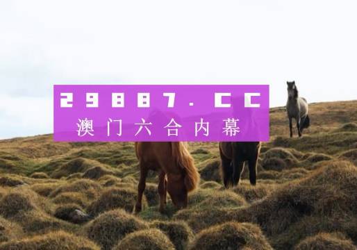 王中王资料全部大全六香港|精选解释解析落实